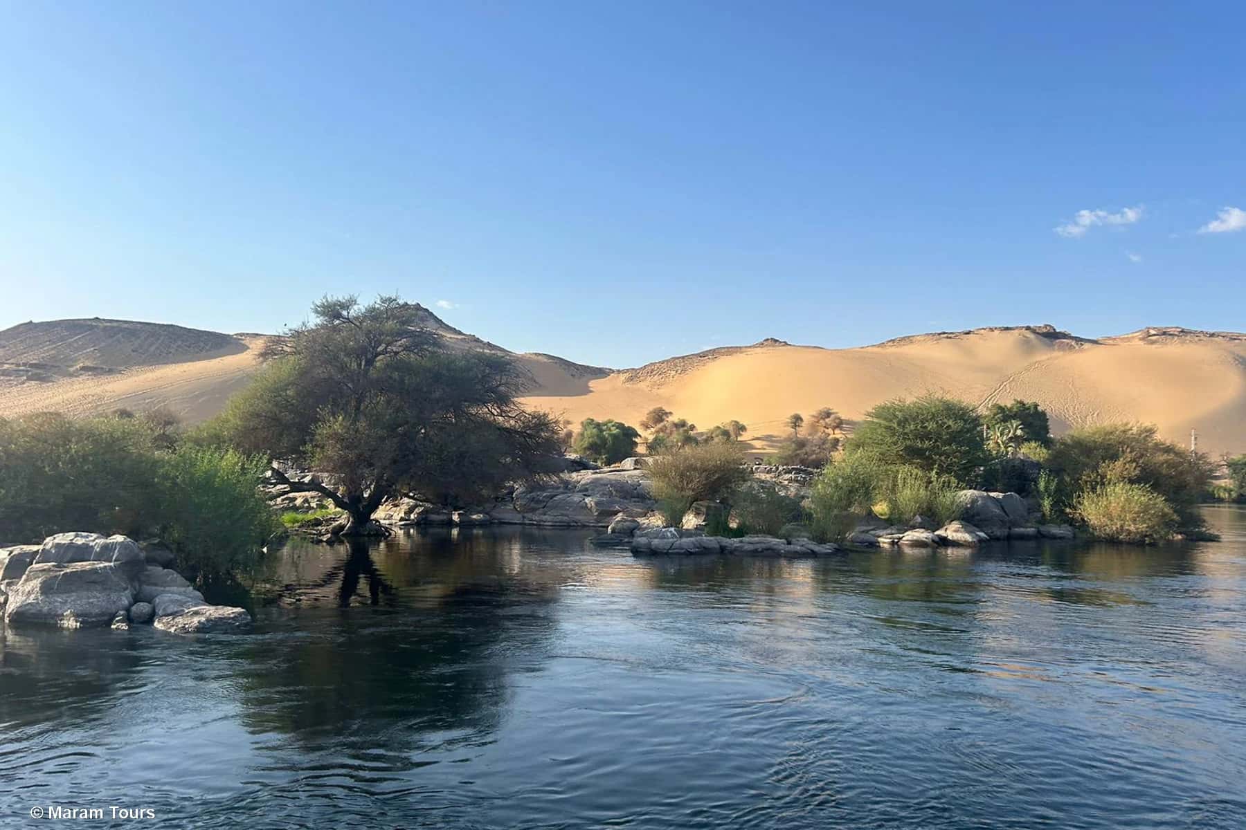 Susurro entre los juncos del Nilo Paisaje del río Nilo entre juncos y vegetación, reflejando la calma natural de Egipto