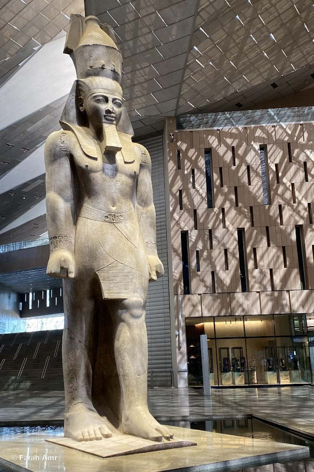 Imagen del artículo